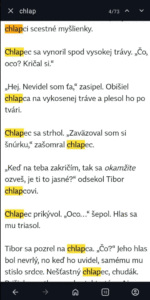 Analýza finálových poviedok